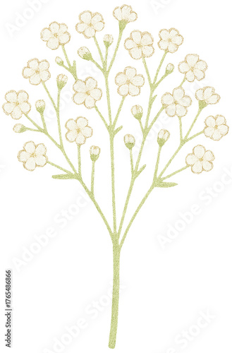 Wallpaper Mural Delicate Baby’s Breath Flower Torontodigital.ca