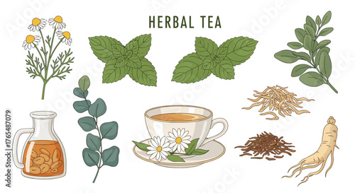 Herbal Tea Ingredients and Preparation with Various Medicinal Plants.