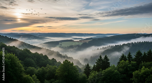 Misty Mountain Valley Sunrise with Birds Flying morning
