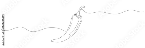 Continuous line drawing of chili pepper. Single line vector illustration of chili pepper. Editable line.