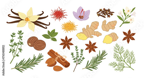 Aromatic Spices and Herbs Collection for Culinary Delights.