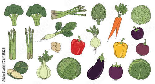 Assortment of Fresh and Healthy Vegetables for a Balanced Diet.
