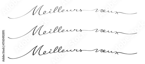 TEXTE MEILLEURS VOEUX