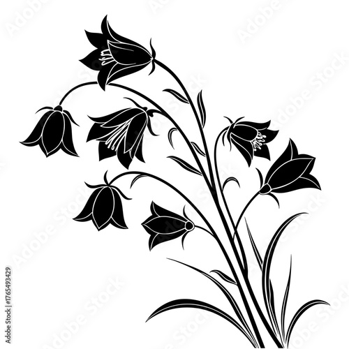 Bellflower Silhouette Vector Illustration. Graceful Campanula Arrangement Design, Botanical Art, Delicate Floral Element, Ornamental Flower Shape, Monochrome Plant.