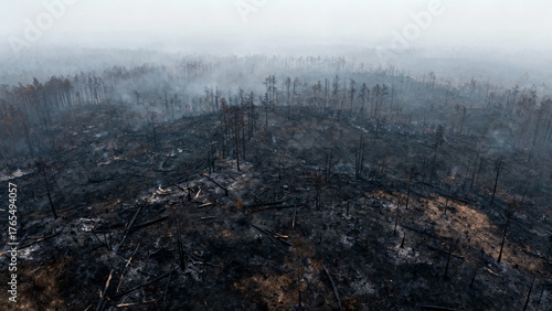 Aerial view of a charred forest landscape, hazy atmosphere and deep perspective. ESG reports, sustainability campaigns, designed for environmental awareness campaigns.