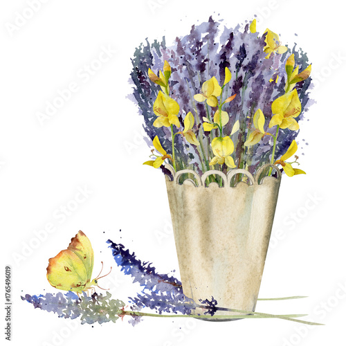 Lavender and spartium Spanish broom bouquet in cachepot with lace trim, single flower stalks, yellow butterfly. Isolated illustration hand drawn in watercolor. Cosmetics label, home fragrance gifts