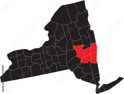 Catskills (Albany) Region on New York State Map Silhouette