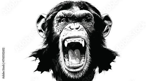 Powerful aggressive chimpanzee screaming with open mouth and fangs, detailed black and white illustration of a wild primate head