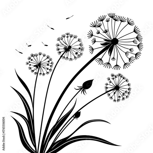 Detailed Dandelion Seed Head Spores Flying Away in Wind Botanical Art Silhouette. Black and White Line Art for Decoration and Prints.