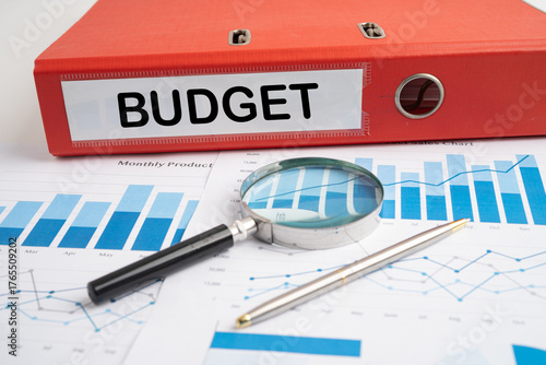 Budget, project data in business binder with graph.