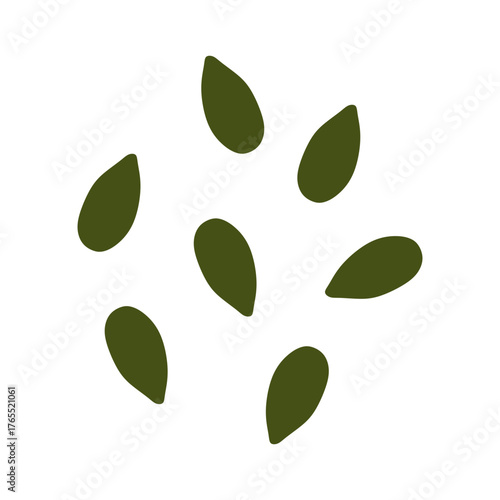 pumpkin seeds isolated vector