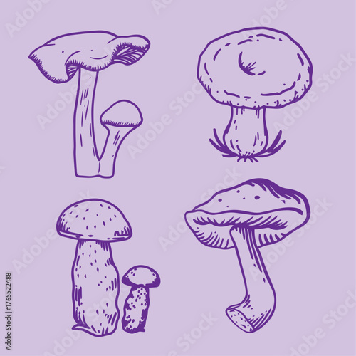 Hand drawn wild mushrooms collection in vintage engraving style, botanical forest fungus sketch illustration set on pastel background