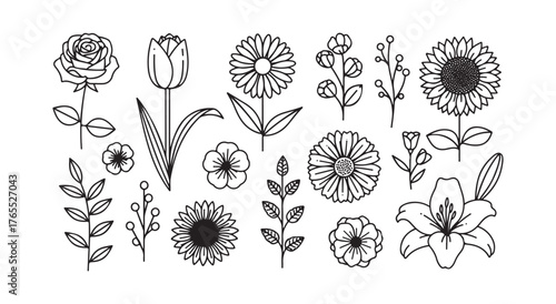 Flower line art collection set against a white background. This stock vector illustration includes various flowers and floral elements designed in a geometric minimal style.