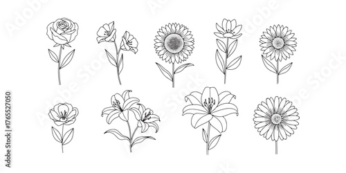 A set of flower line art on a white background. This stock vector illustration features a variety of flowers and floral elements in a geometric, minimal style.