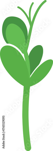 Vibrant green sprout symbolizing growth freshness and new beginnings plant life