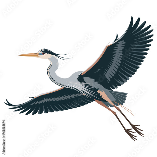 heron in flight