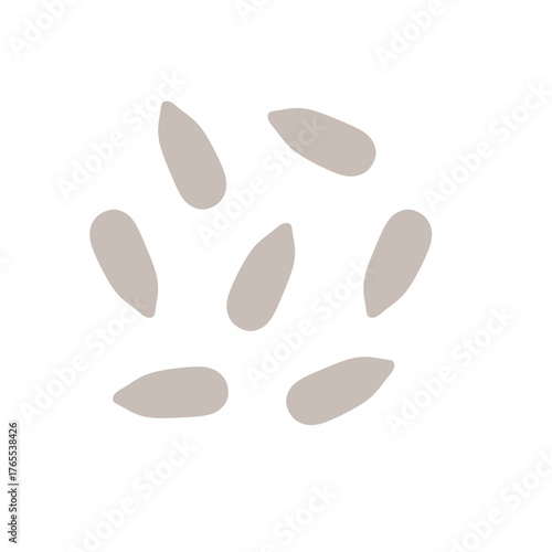 sunflower seeds vector illustration