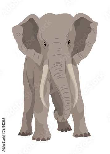 Flat vector elephant in poses African of Asian animal with large ears and long trunk. Wildlife theme