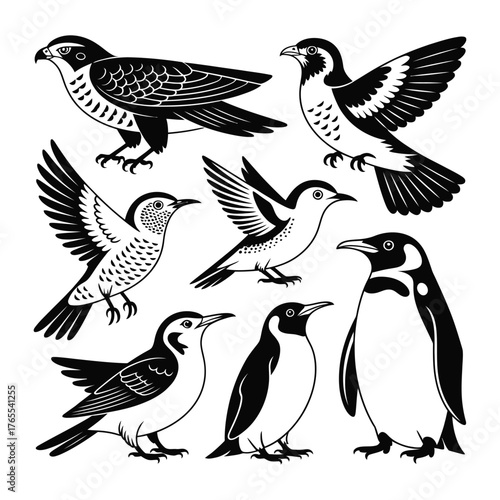set of birds