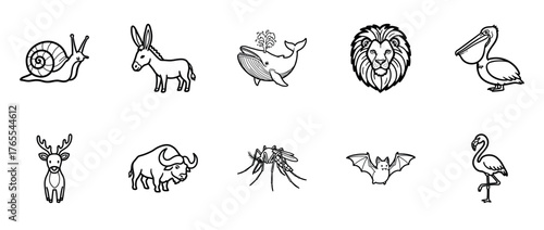 Outlined animal icons: snail, donkey, whale, lion, pelican, deer, buffalo, mosquito, bat, flamingo