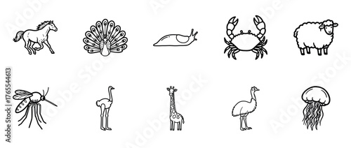 Set of hand-drawn animal illustrations including horse, peacock, and crab