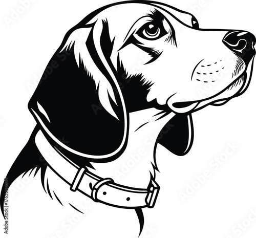 Black and white illustration of a beagle dog's head in profile wearing a collar canine animal