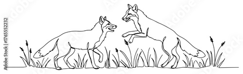 Foxes sparring in meadow continuous one-line vector illustration minimalist outline wildlife art