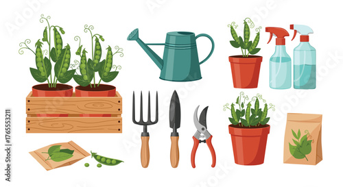 Gardening tools and plants for home gardening and care.