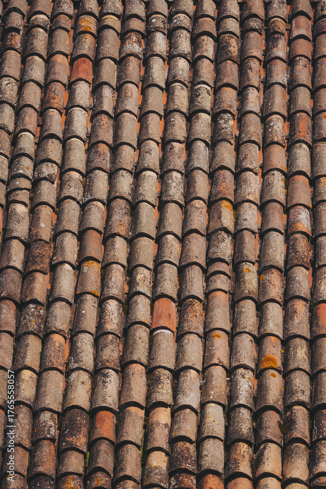 Fototapeta premium Beautifully aged terracotta tiles create a stunning rustic pattern on a rooftop under soft sunlight in a quaint village setting