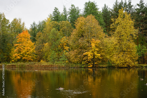 autumn in the park