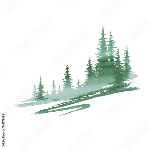 forest, coniferous trees, fog