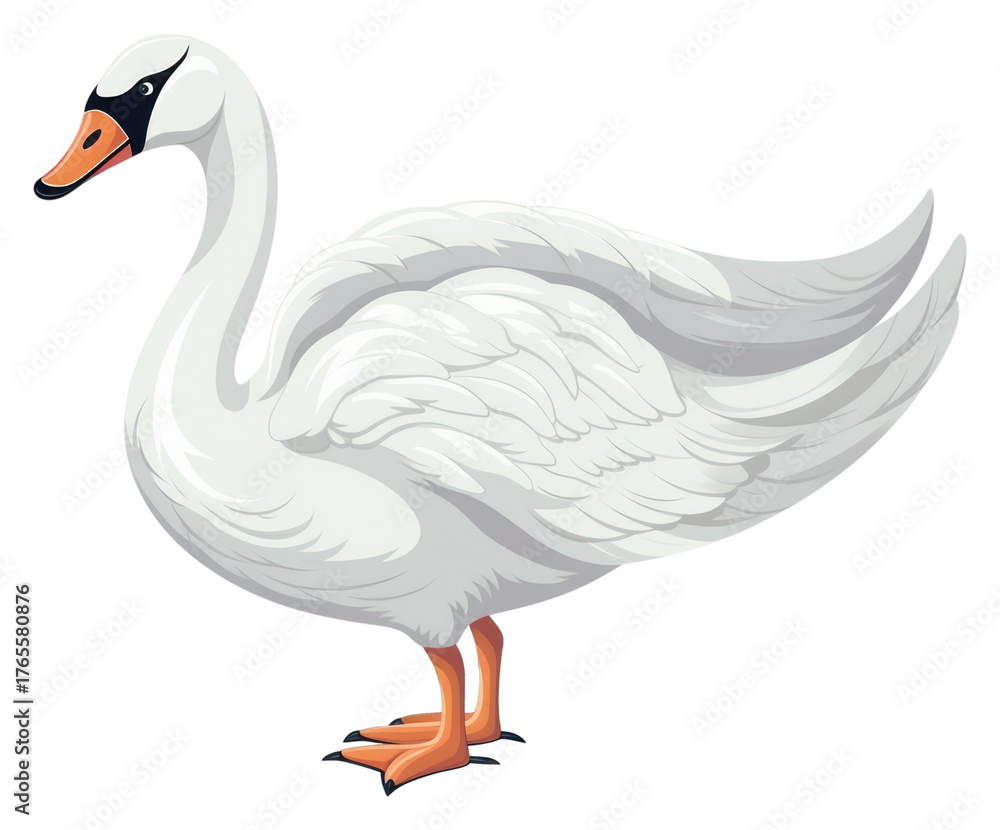 Obraz premium PNG Animal swan cartoon goose.