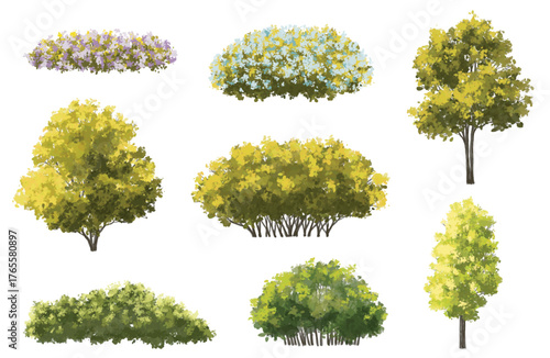  Vector watercolor green  tree or forest side view isolated on white background for landscape and architecture drawing,elements for environment or and garden,Shrub for section
