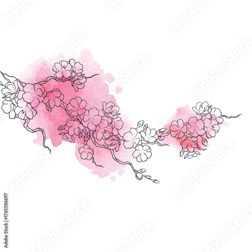 sakura branch