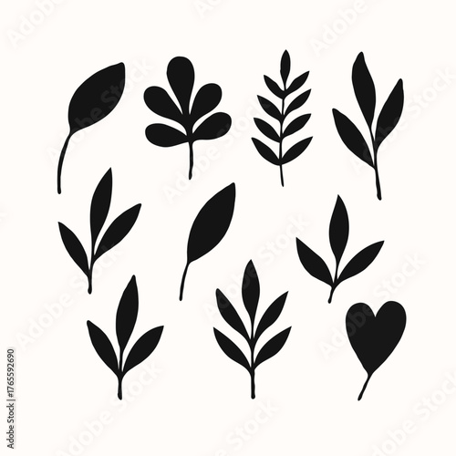 Black Botanical Leaves Collection Modern Vector