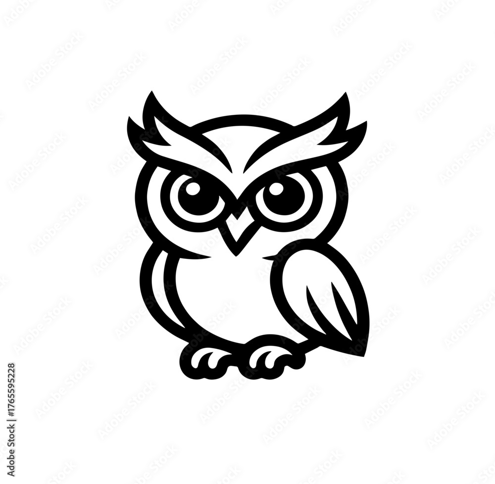 Fototapeta premium owl isolated on white background 