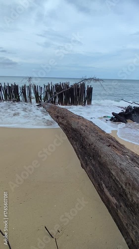 A sandy beach eroded by seawater and supported by wooden posts to protect it from the waves.