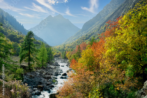 Decorazione da parete con paesaggio con montagne fumose e natura, decorazione da parete per soggiorno, paesaggio forestale, immagine su tela, poster
