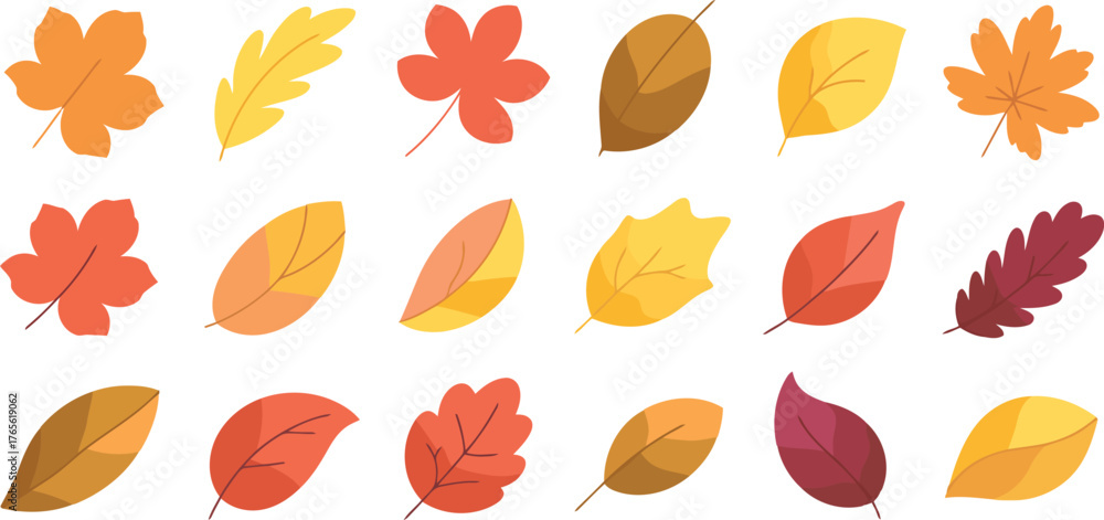 Fototapeta premium Collection of colorful autumn leaves in various shapes and sizes