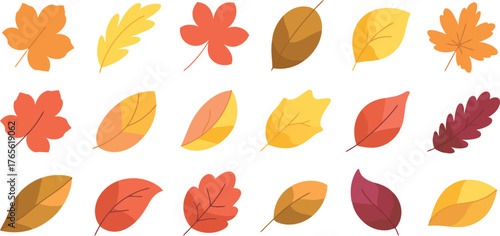 Collection of colorful autumn leaves in various shapes and sizes