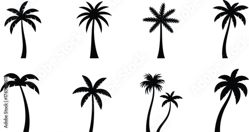 Collection of silhouette palm trees on white background