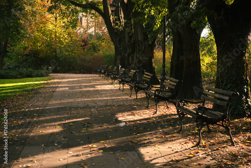 Sunlit row of empty park benches along a tree lined paved pathway covered with scattered autumn leaves, casting long dappled shadows and creating a peaceful, serene atmosphere.