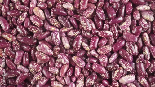 Beans Are A Common And Important Human Food Product.