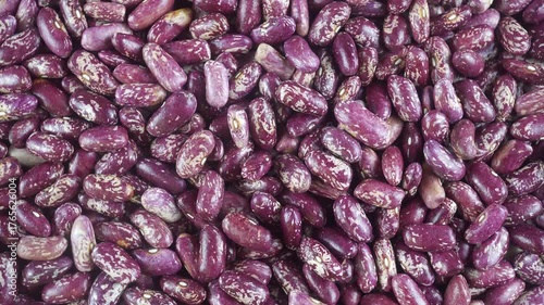 Beans Are A Common And Important Human Food Product.