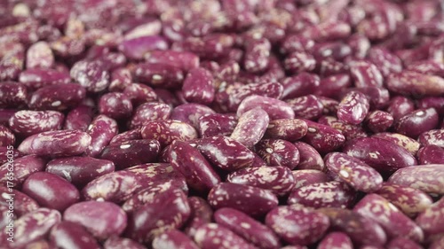 Beans Are A Common And Important Human Food Product.