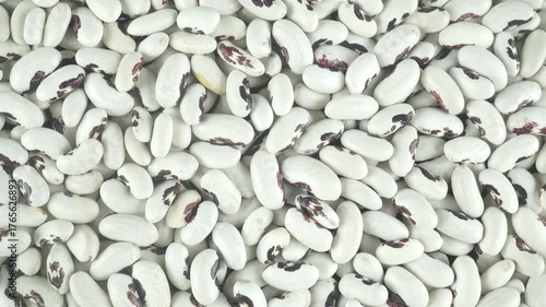 Beans Are A Common And Important Human Food Product.