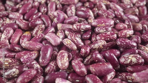 Beans Are A Common And Important Human Food Product.
