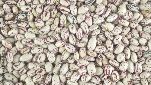 Beans Are A Common And Important Human Food Product.