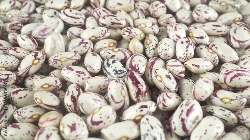 Beans Are A Common And Important Human Food Product.