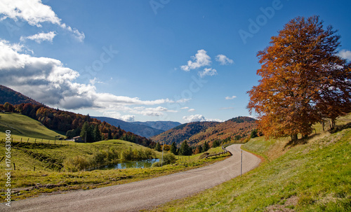 Route de montagne en automne